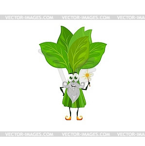 Cartoon green spinach wizard character or magician - vector clipart