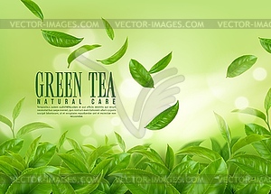 Herbal green tea plantation. Falling tea leaves - vector image