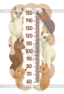 Height chart, growth measure ruler with lamas - vector image