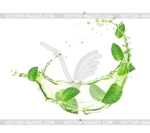 Green herbal tea swirl splash with mint leaves - vector clip art