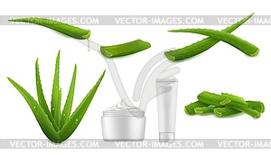 Aloe vera plant and extract, skin care cream set - vector image