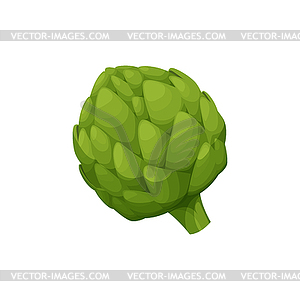 Green french globe artichoke veggie food - vector clip art