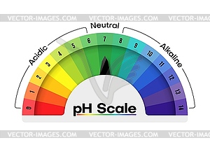 Ph scale value meter or diet acids measure chart - vector image