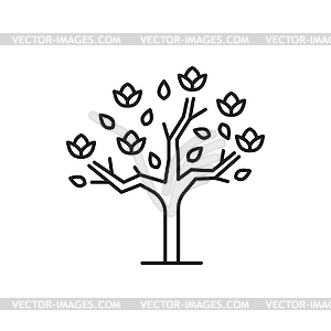 Exotic flowering jungle tree outline icon - vector clip art