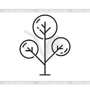 Tree of geometric round shapes, thin line plant - vector clip art