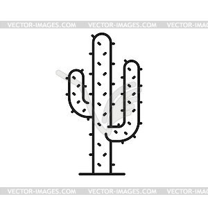 Western cacti mexican giant cactus exotic plant - vector image