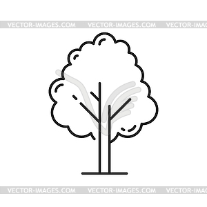 Exotic tree with abstract crown outline plant icon - vector clipart