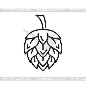 Hop plant flower German beer drink ingredient sign - vector clipart