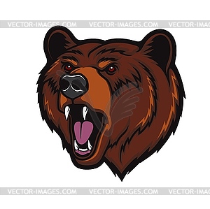 Angry grizzly bear head mascot, roaring wild bear - vector clip art