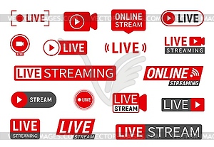 Live stream, online webinar or TV news broadcast - vector clip art