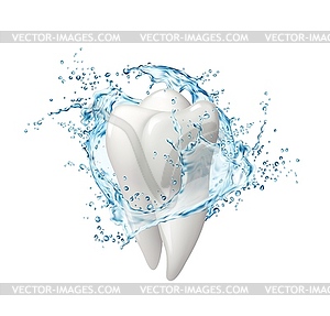 Mouthwash dental hygiene, tooth in water splash - vector image