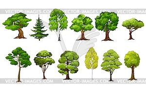 Мультяшный лес и садовые деревья - клипарт в векторном виде