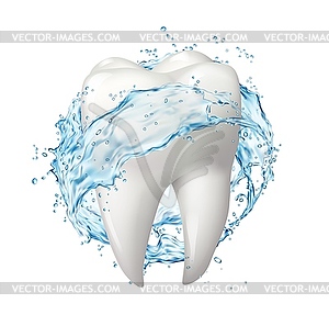 Mouthwash, mouth rinse teeth with splash - vector clipart