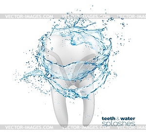 Teeth and clean water flow splash, mouth rinse - vector image