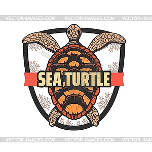 Save sea turtles icon, - vector image