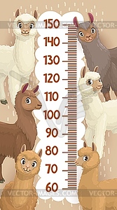 Height chart growth measure ruler llama and alpaca - vector clip art