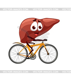 Cartoon liver character personage rides bicycle - vector image