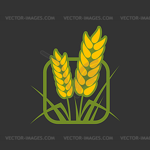 Икона зернового уха с пшеницей, рожью или ячменем - рисунок в векторе