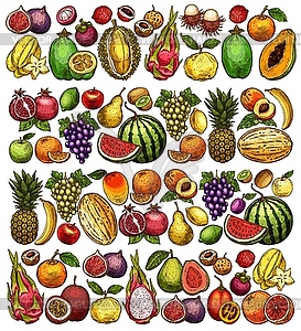 Farm and garden fruits sketch food background - vector image