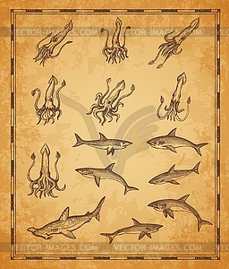 Vintage map elements with squids and sharks fishes - color vector clipart