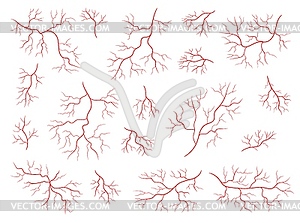 Red veins of human anatomy, blood vessels - vector EPS clipart