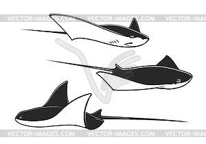 Manta ray, stingray, cramp fish, underwater animal - vector image