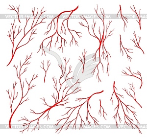 Red veins, anatomy blood artery and eye capillary - vector image