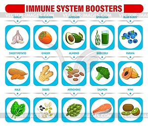 Immune system boosters chart with healthy food - vector clipart