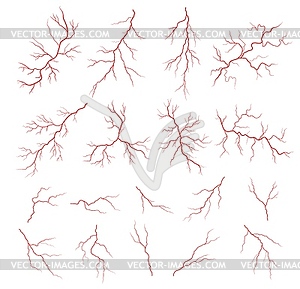 Human red veins anatomy, blood artery or capillary - vector image