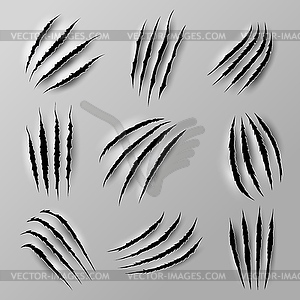 Bear and tiger claw marks, scratches of beast - vector clip art