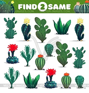 Find two same cacti succulents kids game worksheet - vector clipart