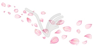 Sakura flying petals, romantic background, flowers - vector image