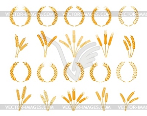 Laurel wreath, spikes of wheat, rye or barley ears - vector EPS clipart