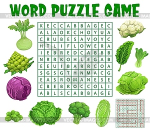 Raw cabbage vegetables, word search puzzle game - vector clipart
