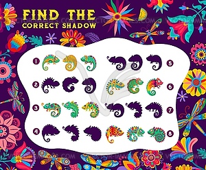 Find correct shadow of mexican chameleons - vector clipart