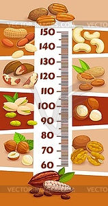 Kids height chart with cartoon nuts, cocoa beans - vector clipart