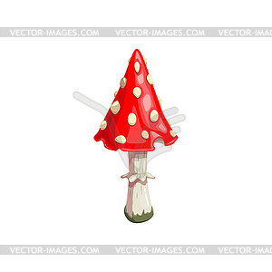 Halloween fly agaric mushroom or amanita plant - vector image