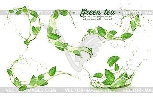 Green mint leaves and water splashes, herbal drink - vector clip art