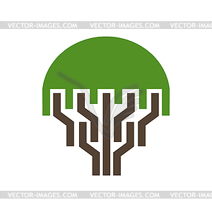 Park or garden tree icon of green plant - vector clipart / vector image