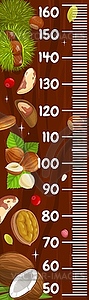 Kids height chart ruler with cartoon nuts, meter - vector clip art