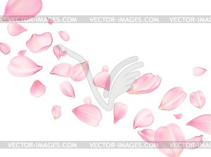 Flying sakura petals, rose flower, cherry blossom - vector clipart