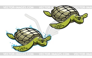 Cartoon turtle animal mascot for sport team club - vector image