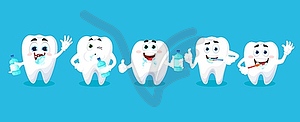 Cartoon tooth characters, mouthwash and toothbrush - vector clip art