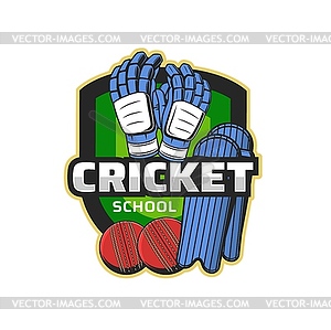 Cricket school icon with player protective gear - vector image