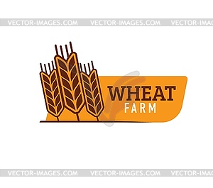 Wheat, farm rice, oat barley or millet cereal ear - stock vector clipart