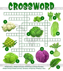 Raw cabbage vegetables, crossword puzzle worksheet - vector image