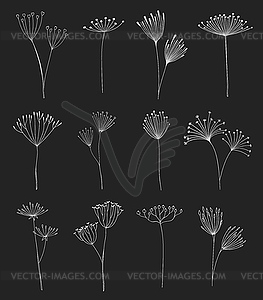 Floral twigs, herbs sprigs and umbrella flowers - vector clip art