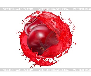 Ripe raw cherry berry with fresh juice splash - vector image