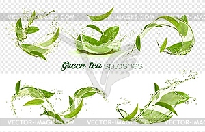 Green tea leaves swirls and splashes, transparent - vector clip art