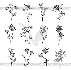 Outline floral field herb twigs and sprigs set - vector clipart / vector image